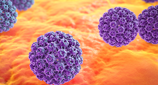 HPV is a group of more than 150 related viruses that can occur in both males and females.